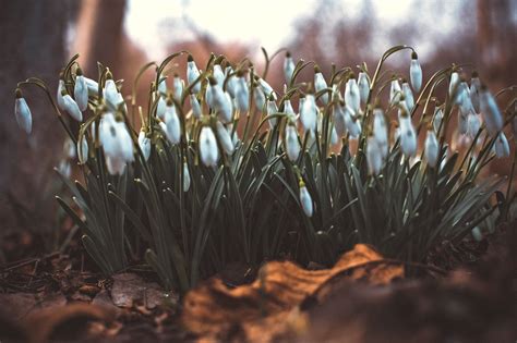 Фотографія Нас багато / Олександр Семен / photographers.ua
