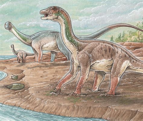 Species New to Science: [Paleontology • 2022] Unusual Sauropod Slipping ...