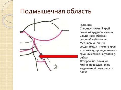 Топографическая анатомия и оперативная хирургия верхней конечности ...