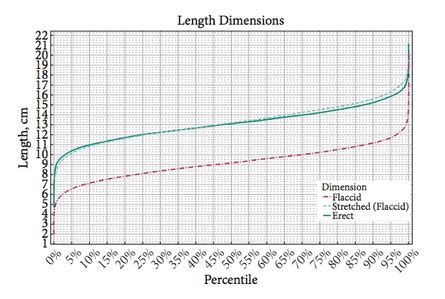 average penis size revealed  study results biology  guardian