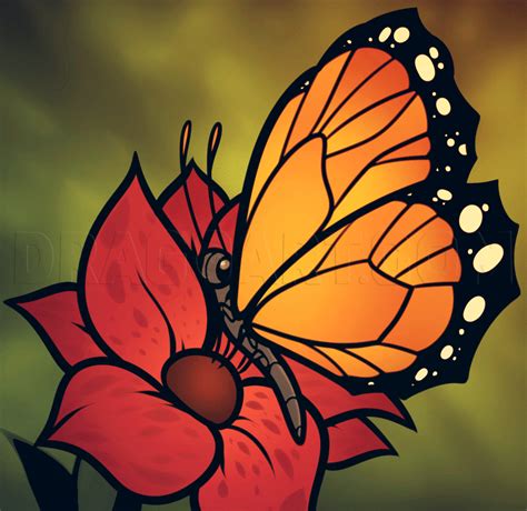how to draw butterfly on a flower