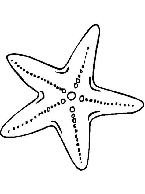 Раскраски Морская звезда - детские раскраски распечатать бесплатно