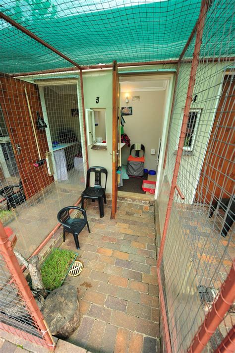 Kitty Kaya Cat Hotel | Johannesburg