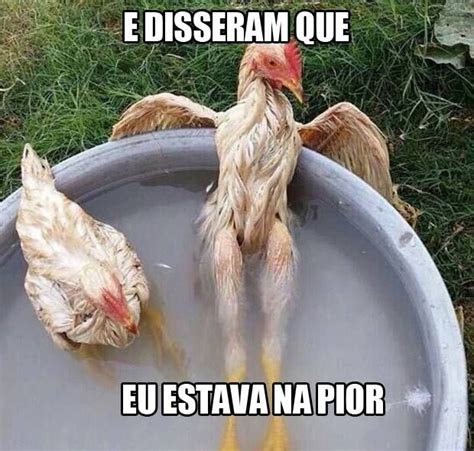 Memes Galinha