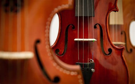 Photos Violin Closeup Musical Instruments