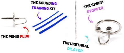 The Urethral Sounding Guide Even Beginners Will Understand