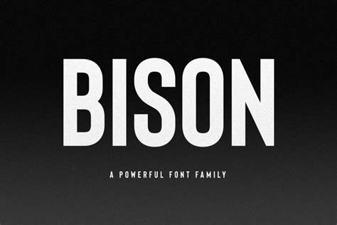 Best VHS Fonts (FREE / Premium) UPDATED 2021 | Hyperpix