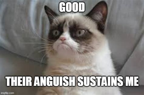 grumpy cat good - Imgflip