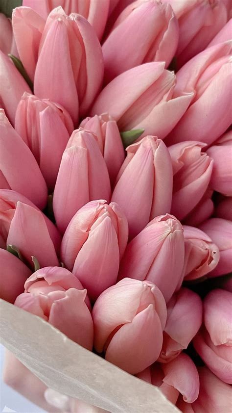 Обои для телефона в HD качестве | Blommor, Estetiska bakgrundsbilder ...
