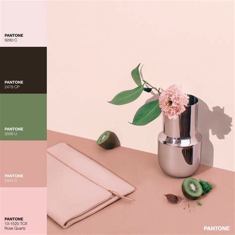 Discover the Vibrant Pantone Color Palette