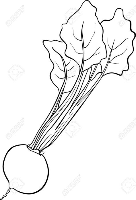 Printable Beetroot Coloring Pages - Coloring Cool