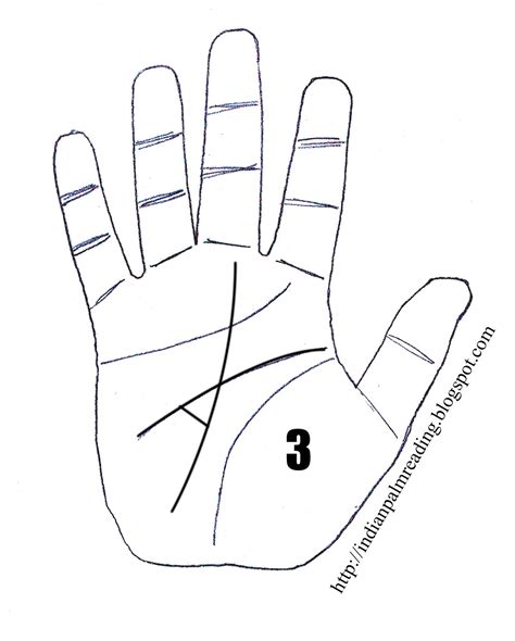 Money Triangle Or Great Triangle On Hand Palmistry ~ INDIAN PALMISTRY