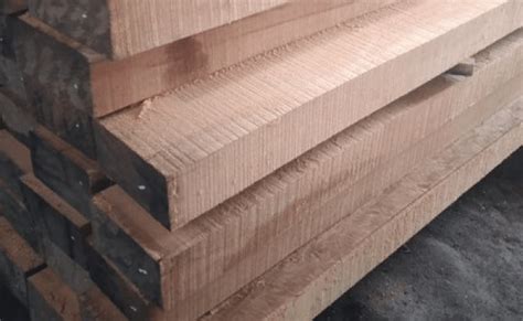 acpindo kayu kamper balok