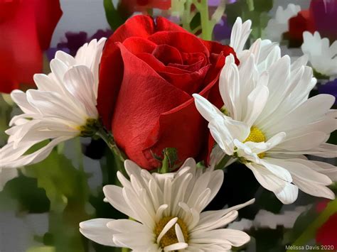 Missy Davis' Digital Art added... - Missy Davis' Digital Art