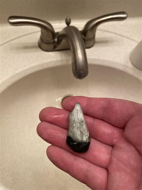 Native artifact? Found in a creek bed where others have found