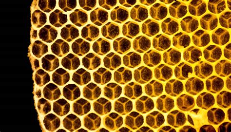 honeycomb material  extend battery life   futurity