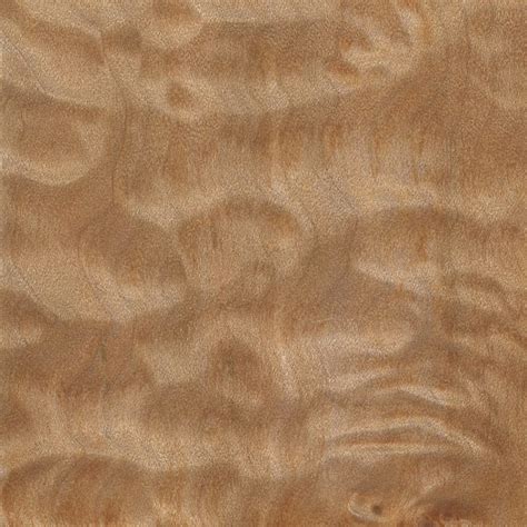 What You Need to Know About Maple Wood