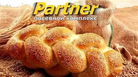 Посевной комплекс ПАРТНЕР! Сеялка для сплошного посева - YouTube