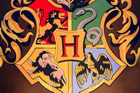 The Hogwarts Houses Get Sorted into the 4 Energy Types