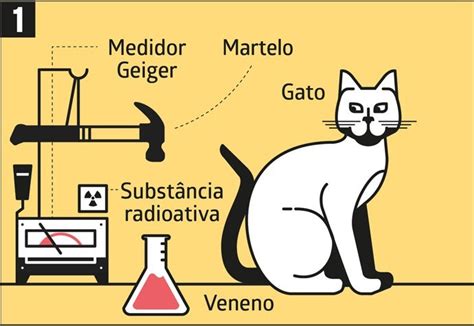 Gato de Schrödinger: entenda o que é o experimento - Galileu | Ciência