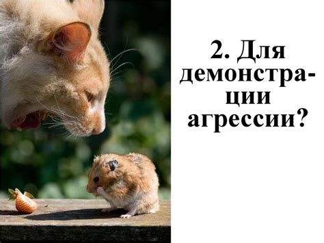Классный час «Вирус сквернословия» - презентация онлайн