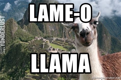 lamo Meaning & Origin | Slang by Dictionary.com