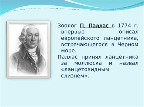 Презентация "Тип Хордовые. Ланцетник"