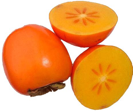 Kaki fruit benefits Scientific name: Diospyros virginiana. ~ Alertonline