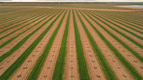 Major Katunga farm sale | Country News