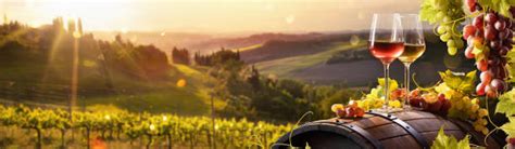Wine Tasting Stock Photos, Pictures & Royalty-Free Images - iStock
