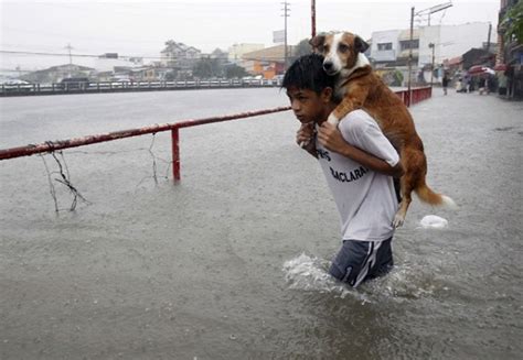 Amazing People Risked Their Lives Saving Animals | DeviceDaily.com