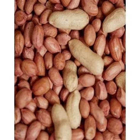skin raw shelled peanuts supplier  kg  rs kg