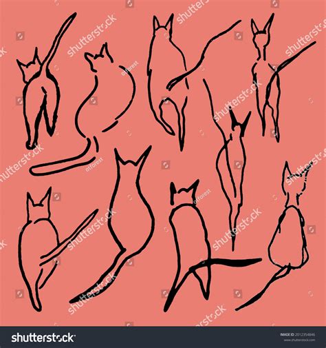 why do cats like butt pats 8