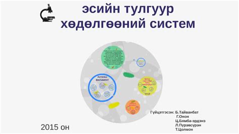 эсийн тулгуур хөдөлгөөний систем by Г. Онон on Prezi