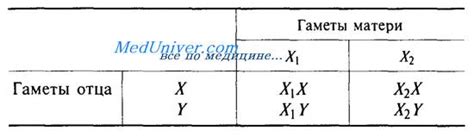 Наследование сцепленное с X хромосомой. X - сцепленные заболевания. X ...