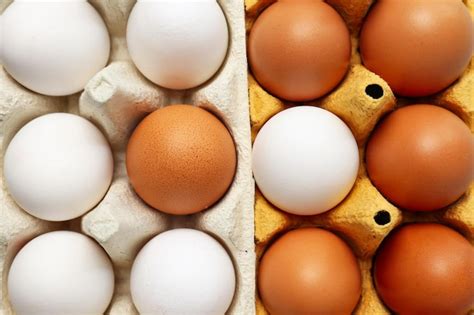 eggs varieties images    freepik