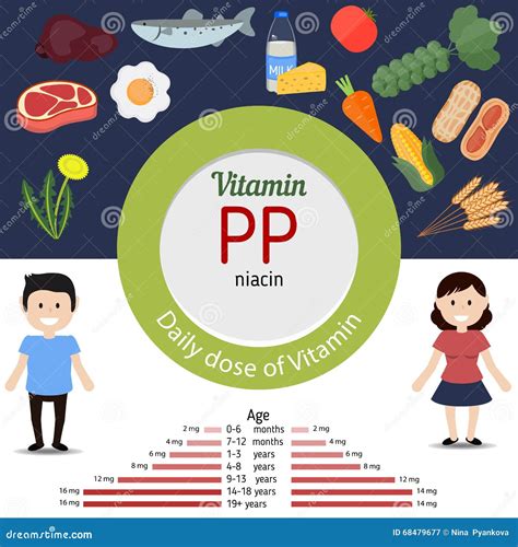 Vitamin PP infographic stock vector. Illustration of eating - 68479677