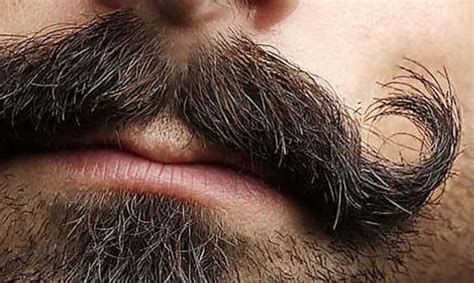 chevron mustache styles   shave guide mens care