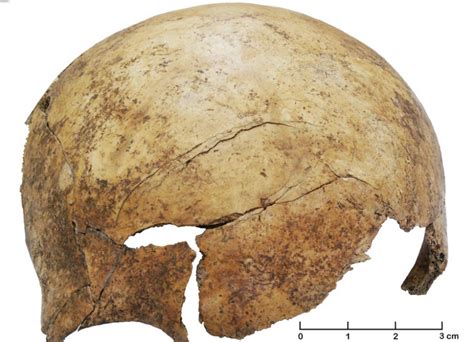 Archaeologists Unearth a Neolithic Massacre | DigVentures