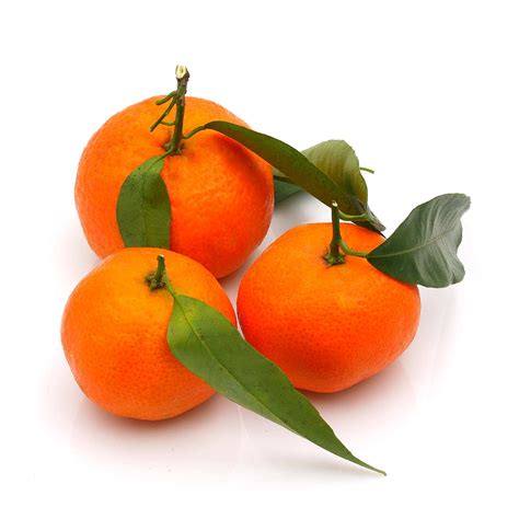 Organic Clementine with leaves