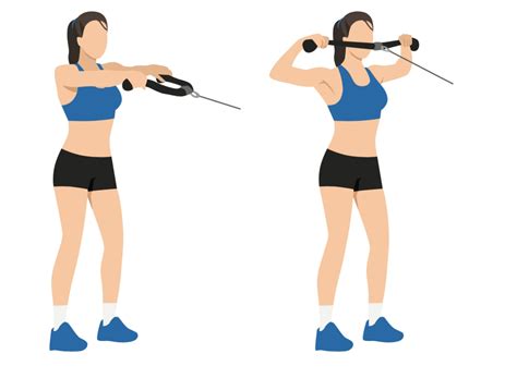resistance band exercises    home