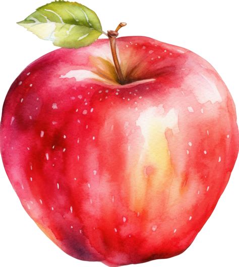 Red Apple Watercolor Illustration. 26976555 PNG