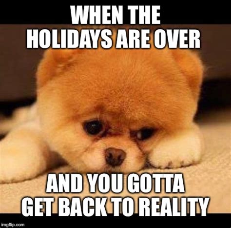 sad dog - Imgflip