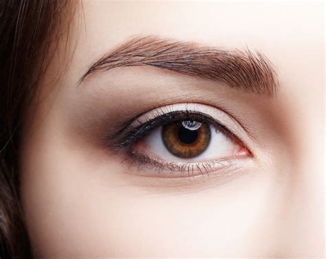 Category: ALL ABOUT THE BROW - Jasmine Beauty Therapy