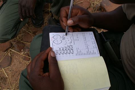 Help Protect Free-Roaming Black Rhino in Namibia - GlobalGiving