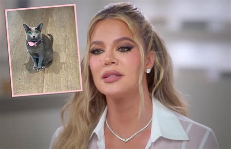 Khloé Kardashian FINALLY Responds To Accusations She FaceTuned The Family Cat! - Perez Hilton