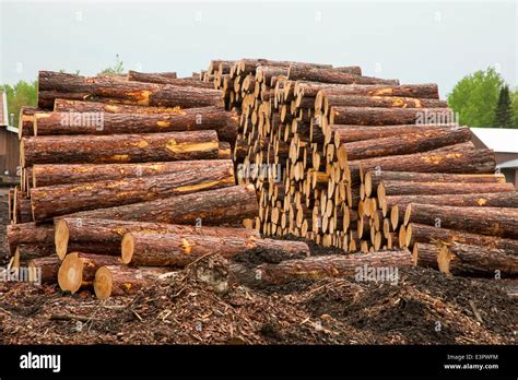 wisconsin logging  res stock photography  images alamy