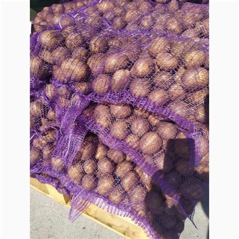 Белорусский Картофель Гала, Бриз. Королева Анна, Вектор — Agro-Kazakhstan