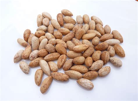 Ideas para tu Huerto: Neem SEMILLAS