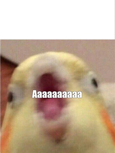 Мем: "Аааааааааа" - Все шаблоны - Meme-arsenal.com